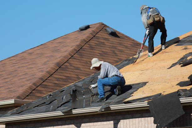 Best Emergency Roof Repair Services  in , ND