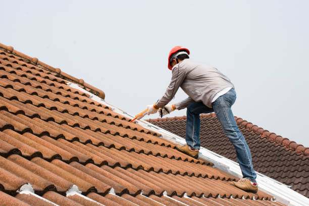 Best Solar Panel Roofing Installation  in , ND