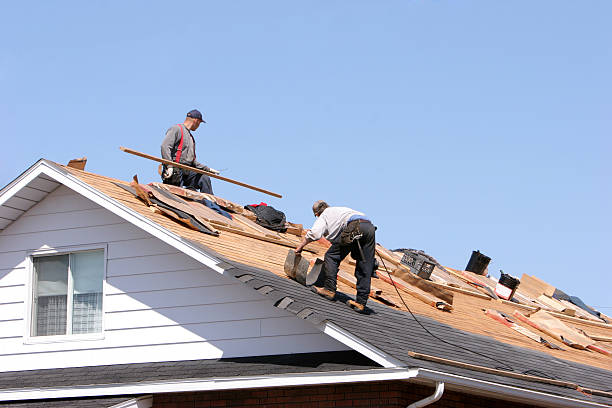Best Roof Leak Repair  in , ND