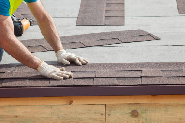 Best Chimney Flashing Repair  in , ND